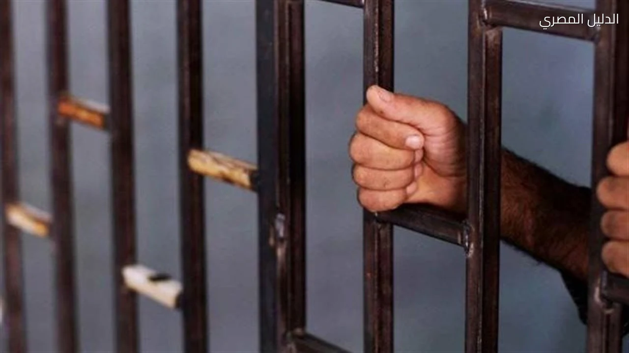 محاكمة متهم بإدارة صفحة لبيع المواد المخدرة بالجيزة