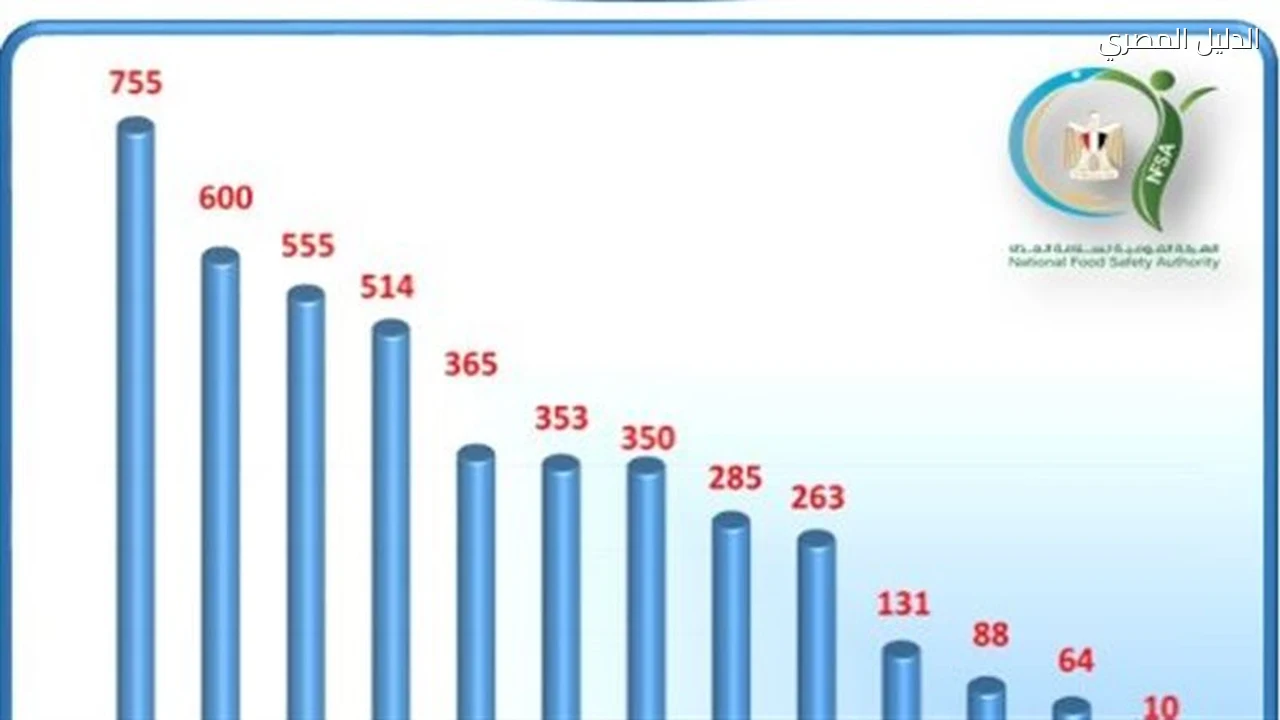 صادرات غذائية مصرية تقفز إلى 190 ألف طن في أسبوع