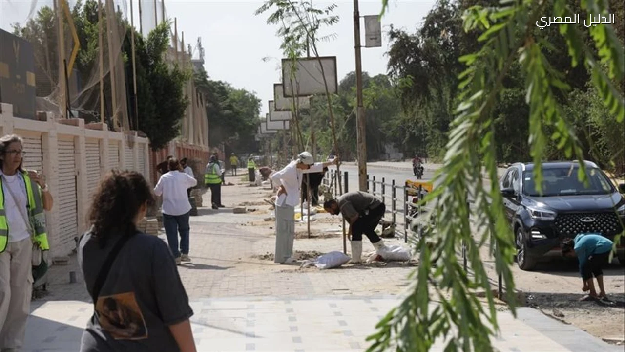 220 شجرة جديدة في المعادي وأنواعها ومواقع زراعتها