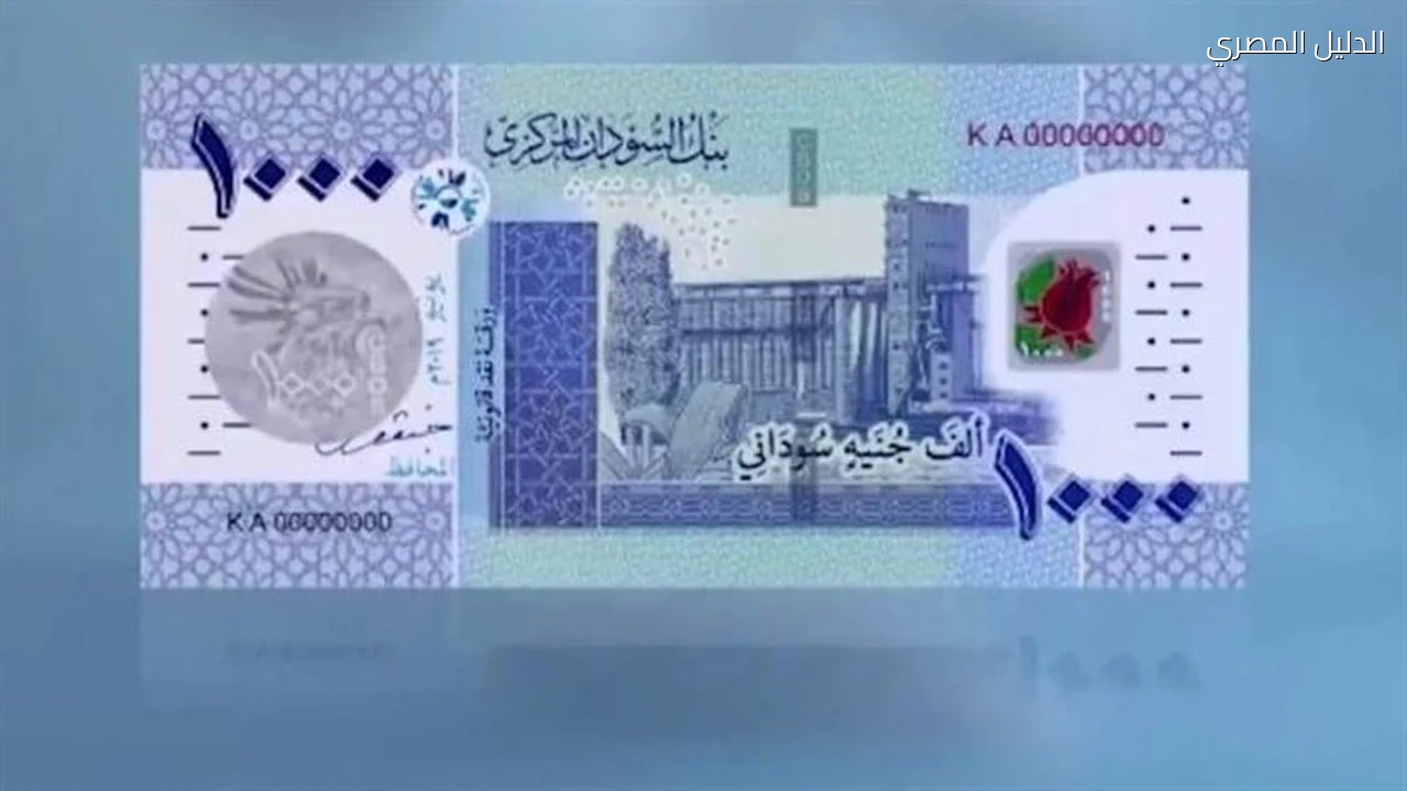 سعر الجنيه السوداني يستقر أمام الدولار مساء الأحد