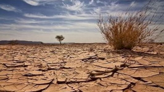 أبرزها الرمادة وطاعون عمواس، كيف أدار الخليفة عمر بن الخطاب الدولة وقت الأزمات؟