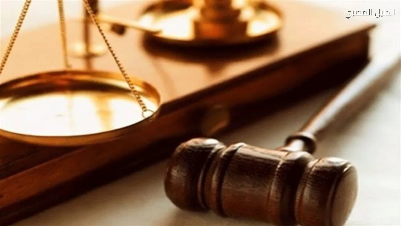 حوادث وقضايا إحالة أوراق متهم بالاعتداء على فتاة من ذوي الهمم ببورسعيد