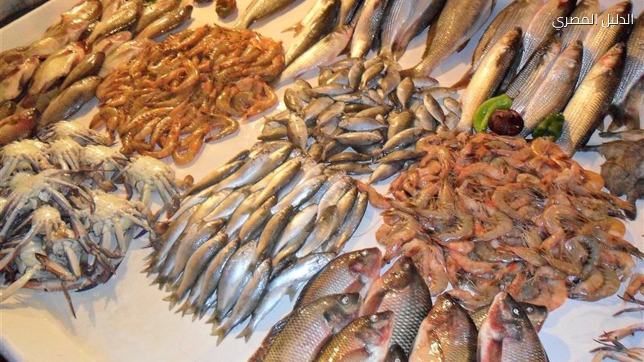 أسعار الأسماك اليوم ارتفاع البلطي وانخفاض الجمبري 100 جنيه