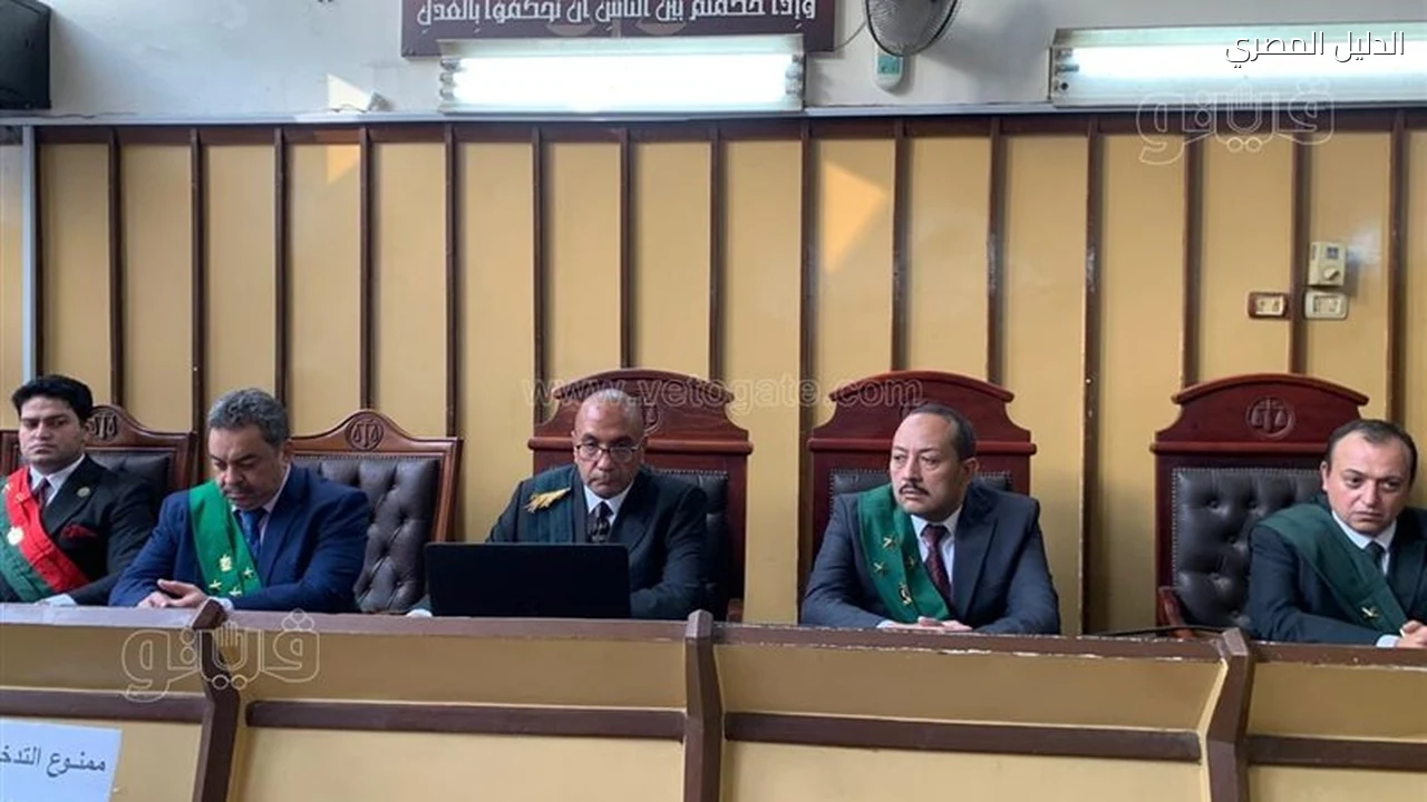إحالة أوراق المتهم بالاعتداء على فتاة من ذوي الهمم ببورسعيد إلى المفتي