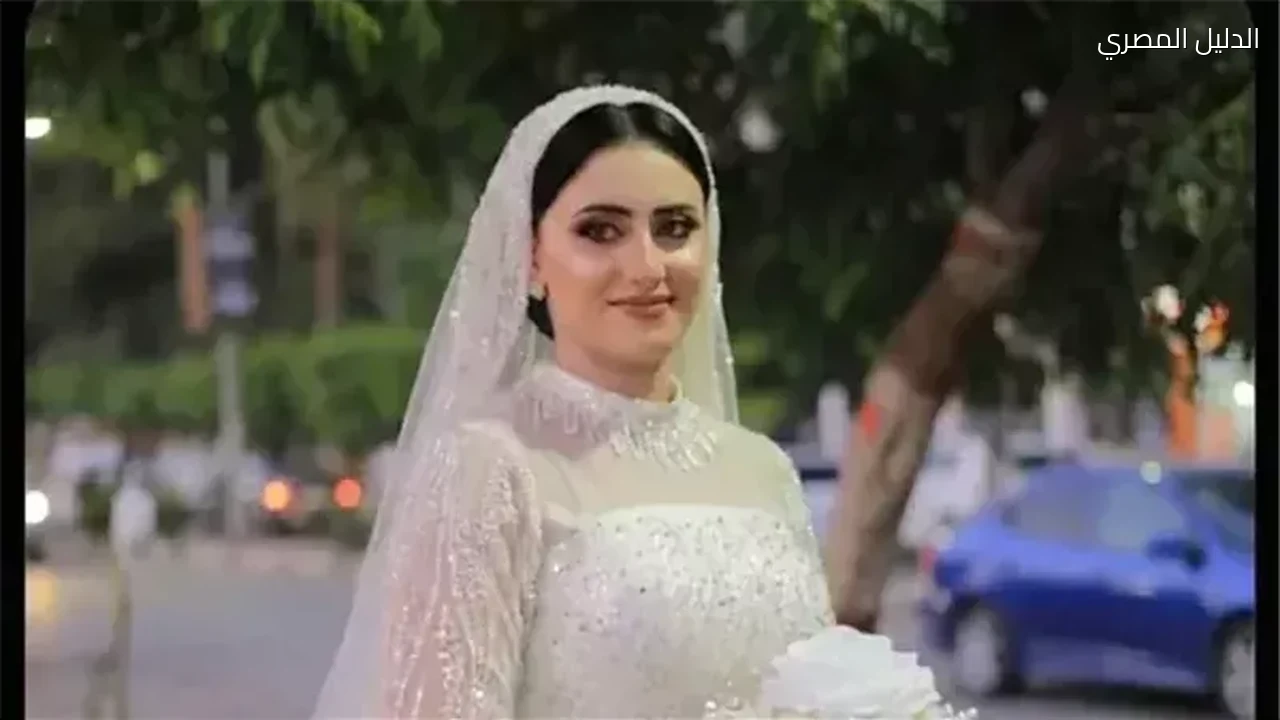 إحالة أوراق قاتل عروس المنوفية إلى المفتي