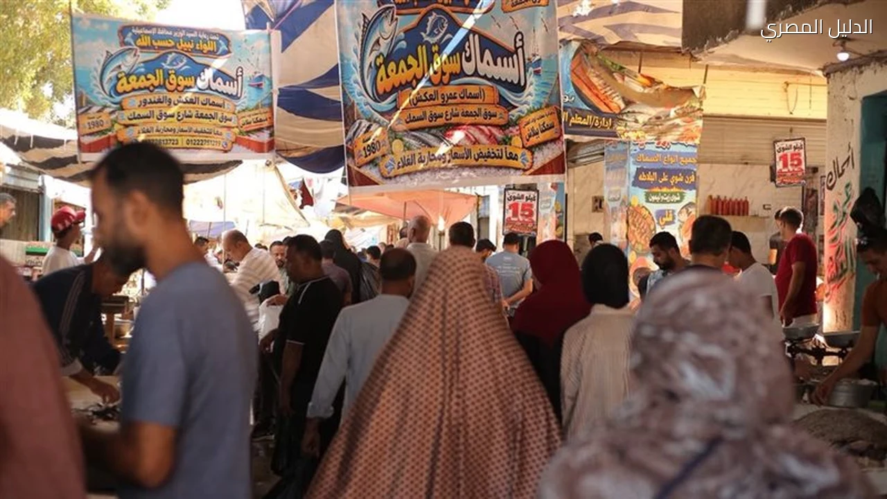 إقبال المواطنين بالإسماعيلية على مبادرة بيع أسماك بأسعار مخفضة