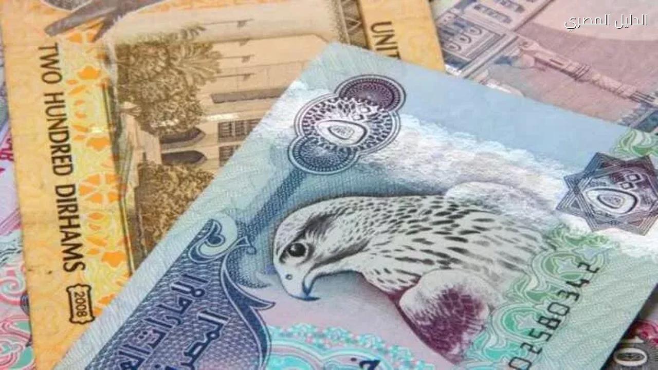 الدرهم الإماراتي يرتفع أمام الجنيه في بنك مصر