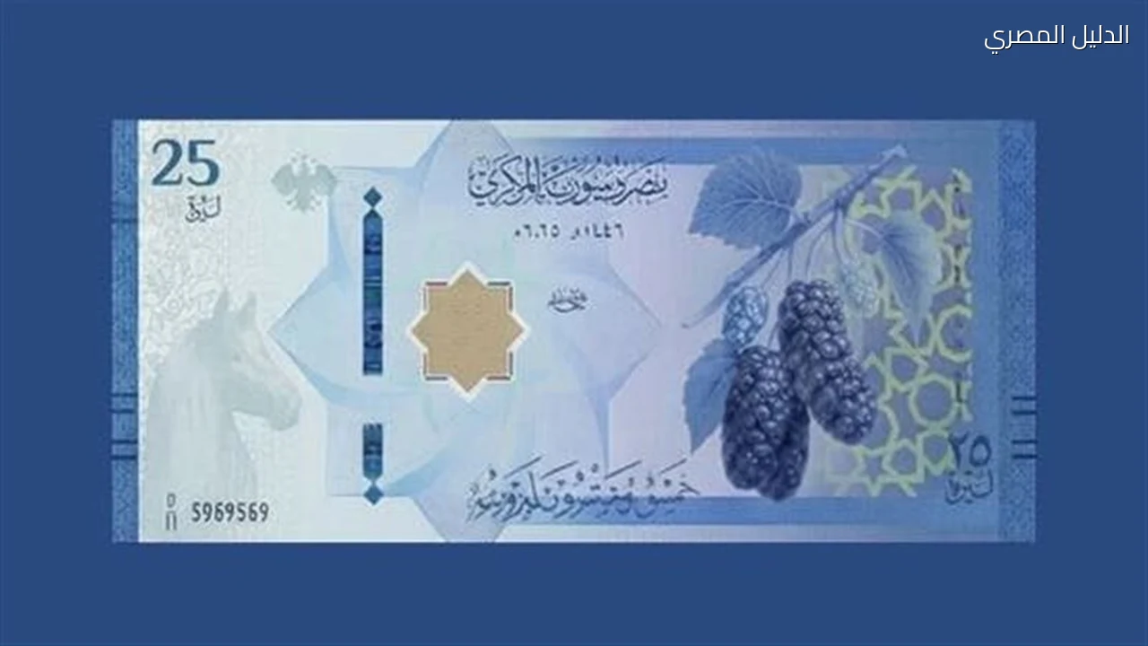 الدولار يرتفع أمام الليرة السورية في المركزي