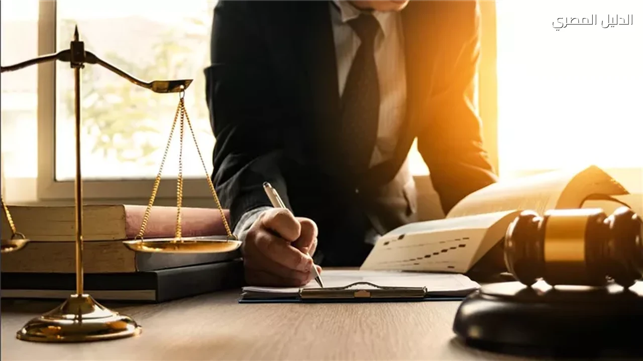 حوادث وقضايا إحالة أوراق متهم بقتل والدته إلى المفتي بالمنيا