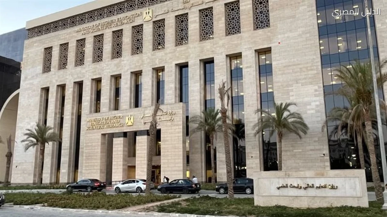 التعليم العالي تغلق 4 كيانات وهمية بالجيزة والفيوم وبني سويف