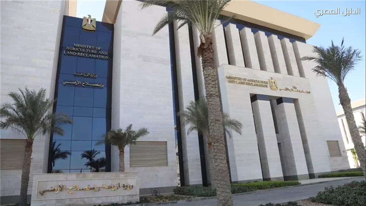 الذكاء الاصطناعي يدخل مكاتب الزراعة وتدريب العاملين