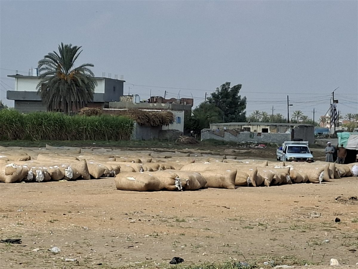 مركز تجميع الأقطان بالإسماعيلية،فيتو