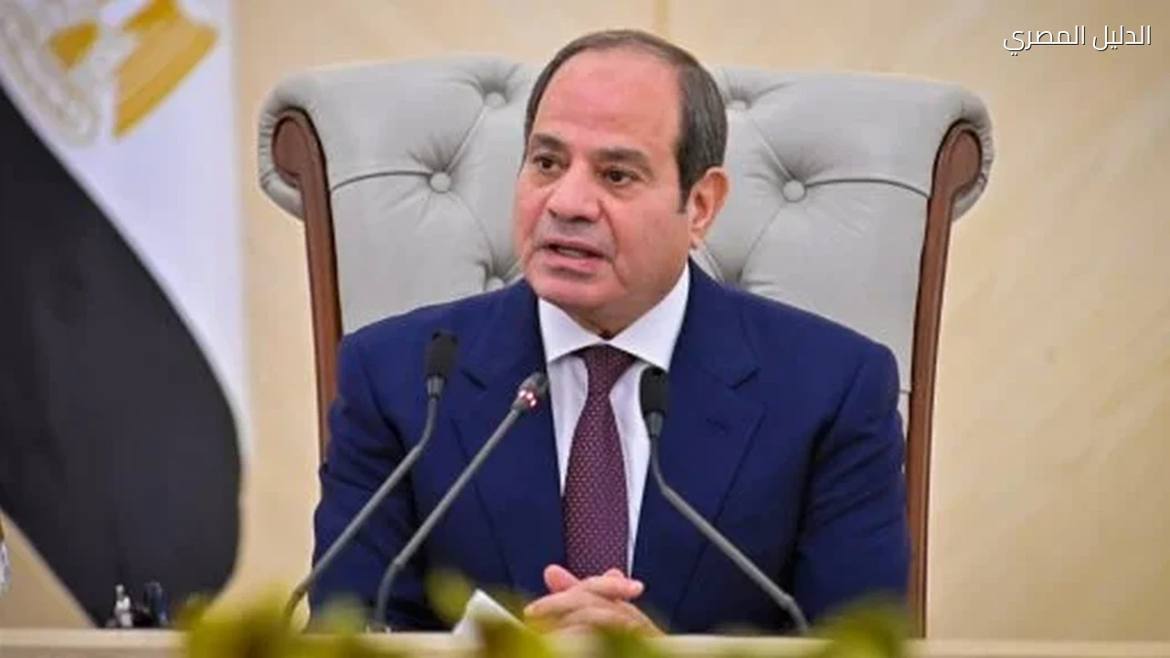 الرئيس السيسى: أعلم يقينا أن الأعباء المعيشية تثقل كاهل الأسر المصرية