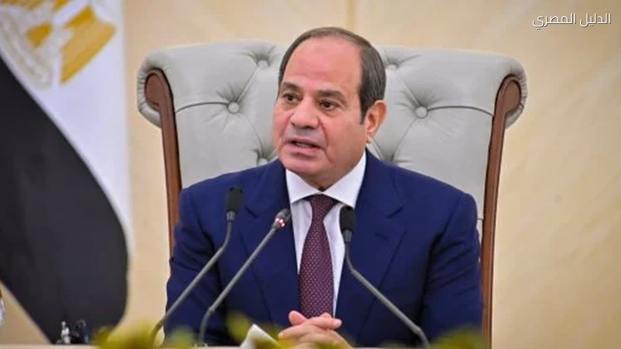 الرئيس السيسى: إقامة الدولة الفلسطينية المستقلة تظل الضمانة الوحيدة لتحقيق السلام العادل والدائم