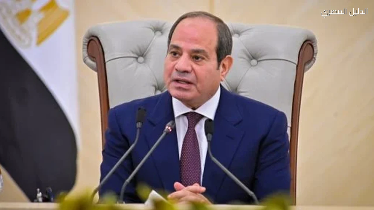الرئيس السيسى: مخططات النيل من استقرار مصر لم تتوقف