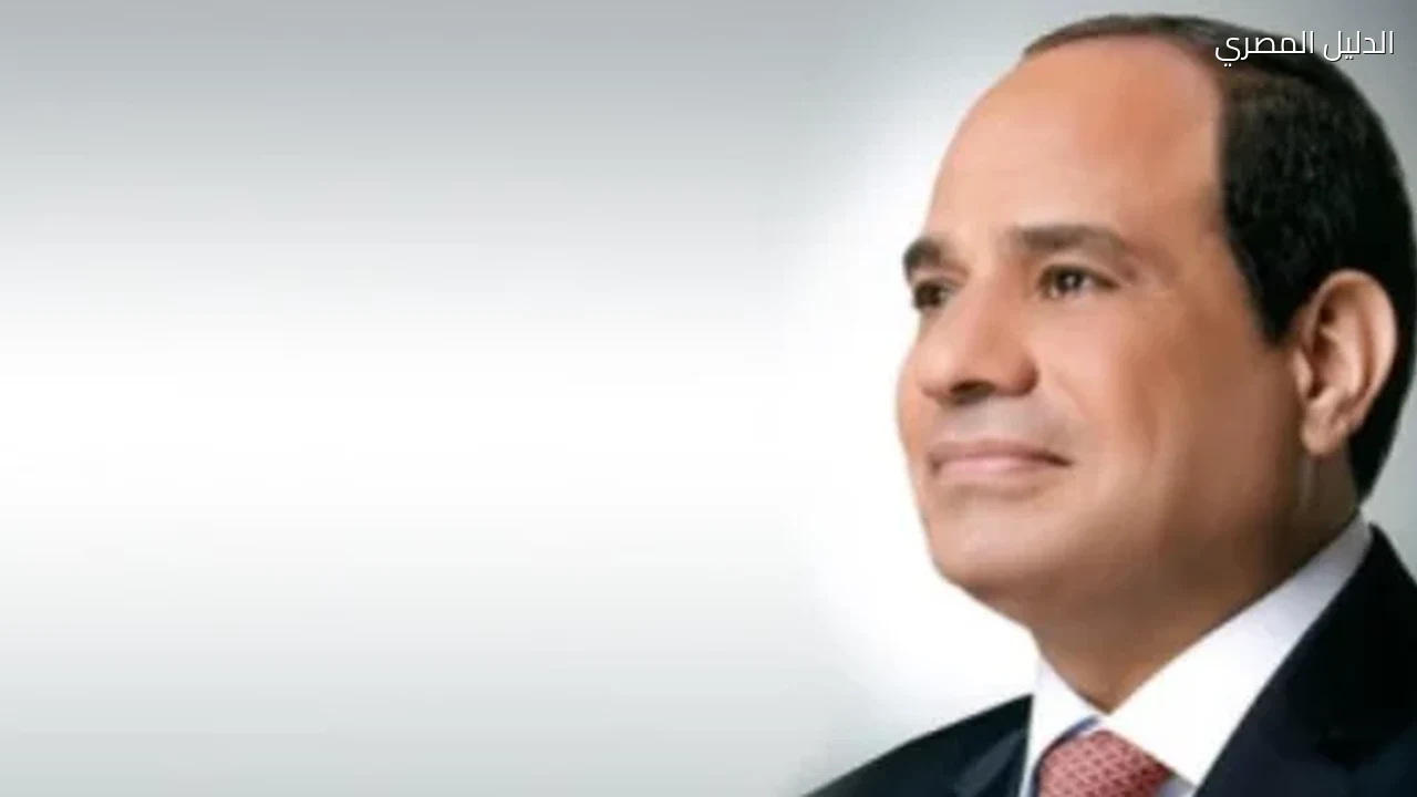 الرئيس السيسى يشيد بالشراكة الاقتصادية الراسخة بين مصر وكوريا