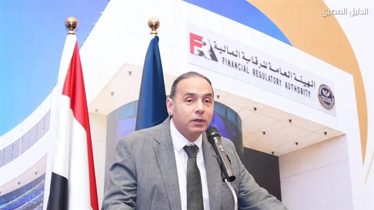 الرقابة المالية تلزم جهات التمويل غير المصرفي بتحديث البيانات