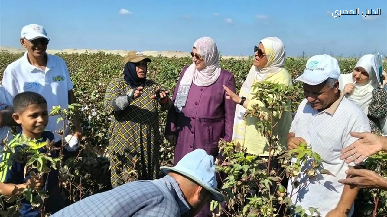 الزراعة تضبط 12 ألف عبوة مبيدات مخالفة خلال سبتمبر