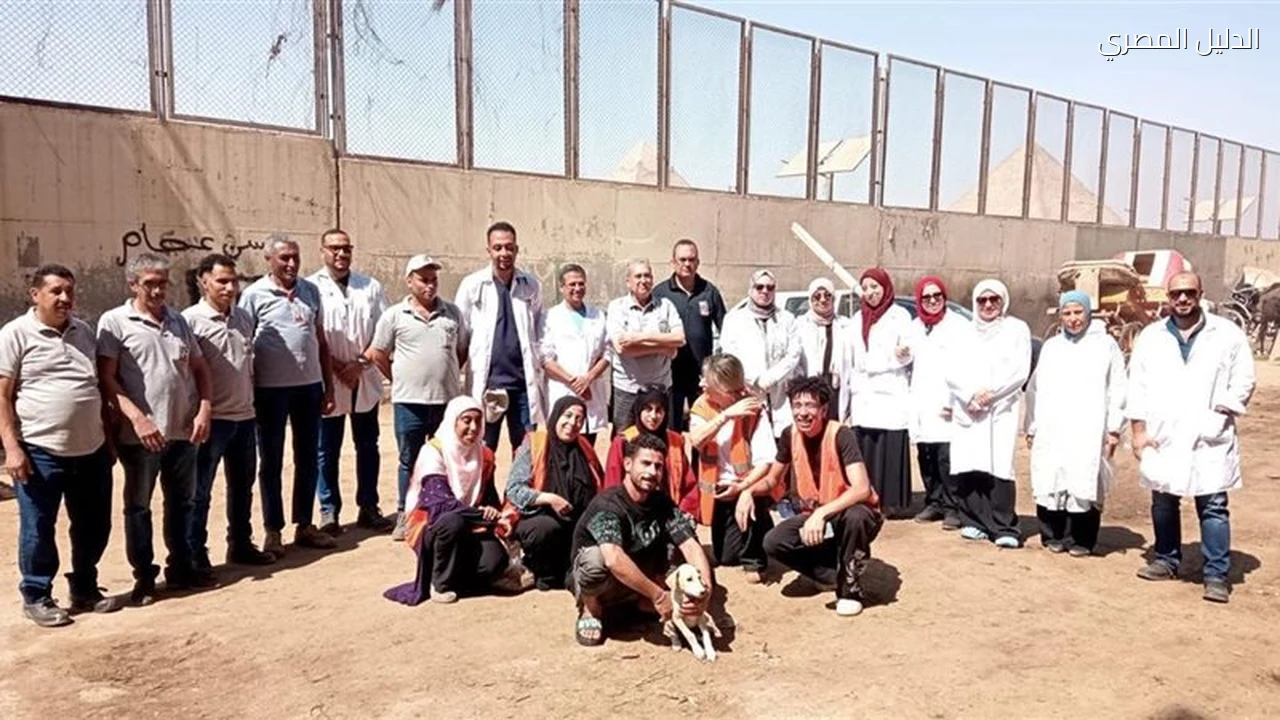 الزراعة تنهي تحصين خيول الأهرامات قبل بطولة الفروسية الدولية
