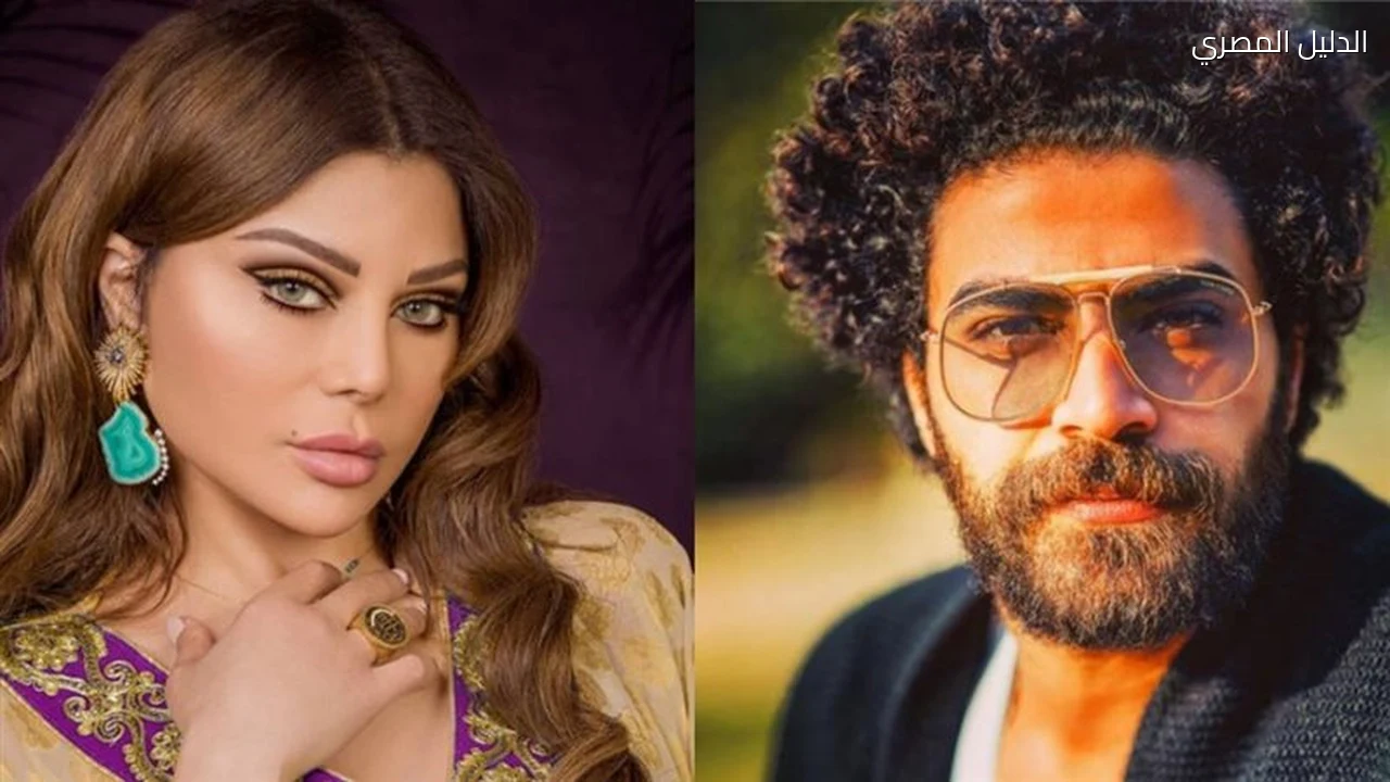 السجن 3 سنوات وغرامة 16 مليون جنيه لمدير أعمال هيفاء وهبي السابق