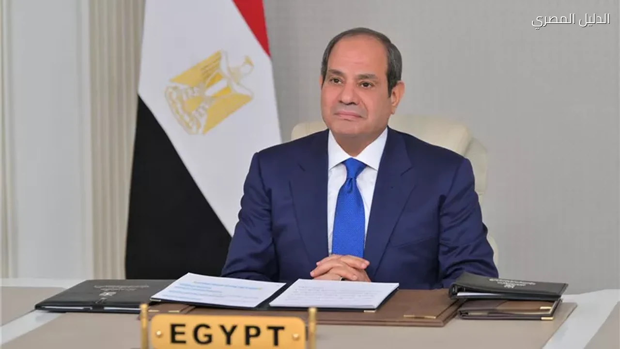 السيسي أتطلع لأن يكون دخل كل مواطن كافيا لتلبية احتياجاته