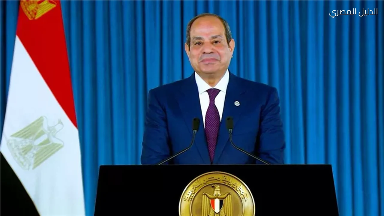 السيسي: قرارات بناء الدولة كانت محفوفة بالمخاطر