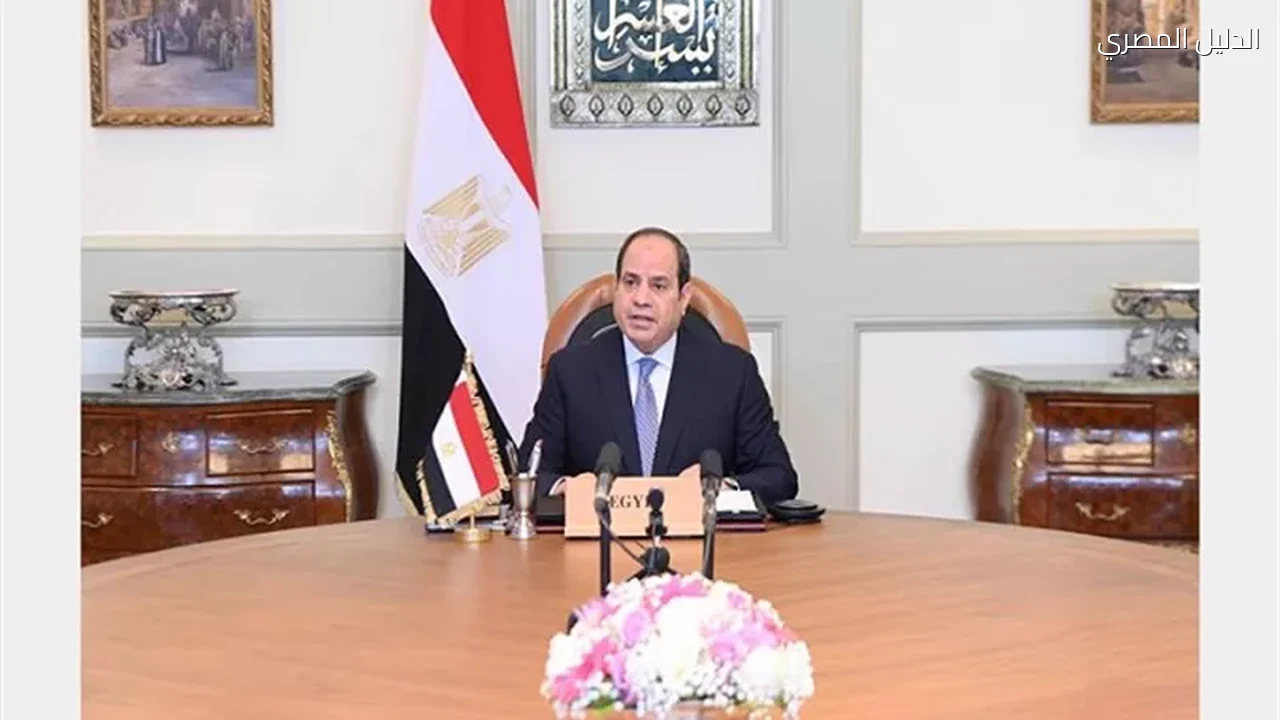 السيسي للمصريين حافظوا على بلدكم