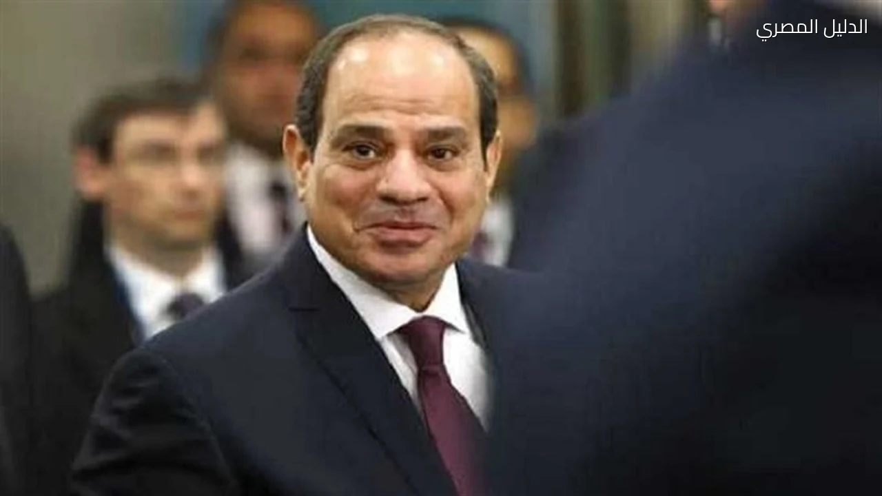 السيسي يؤكد أهمية تشجيع الشركات الإندونيسية على الاستثمار في مصر