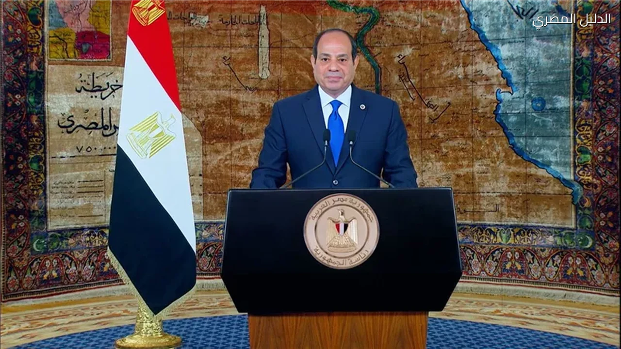 السيسي يدعو المواطنين للتركيز على التفاصيل والبيانات