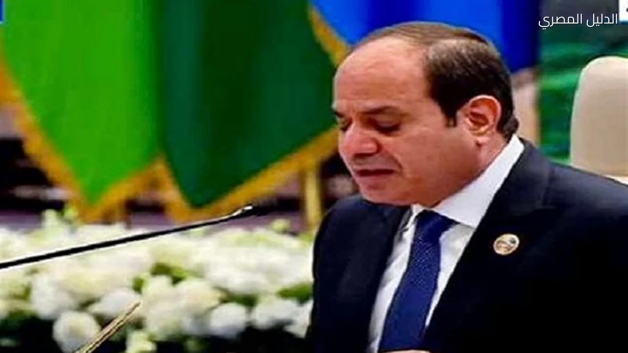 السيسي يشيد بالتعاون الثقافي والعلمي بين مصر وماليزيا
