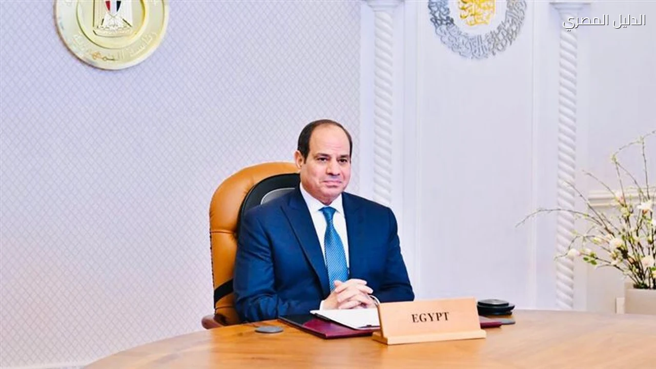 السيسي يطالب باحترام سيادة الدول وعدم التدخل في شئونها