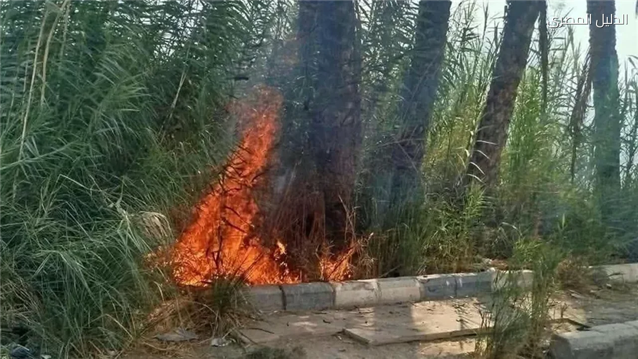 السيطرة على حريق بالطريق الزراعي في مغاغة بالمنيا