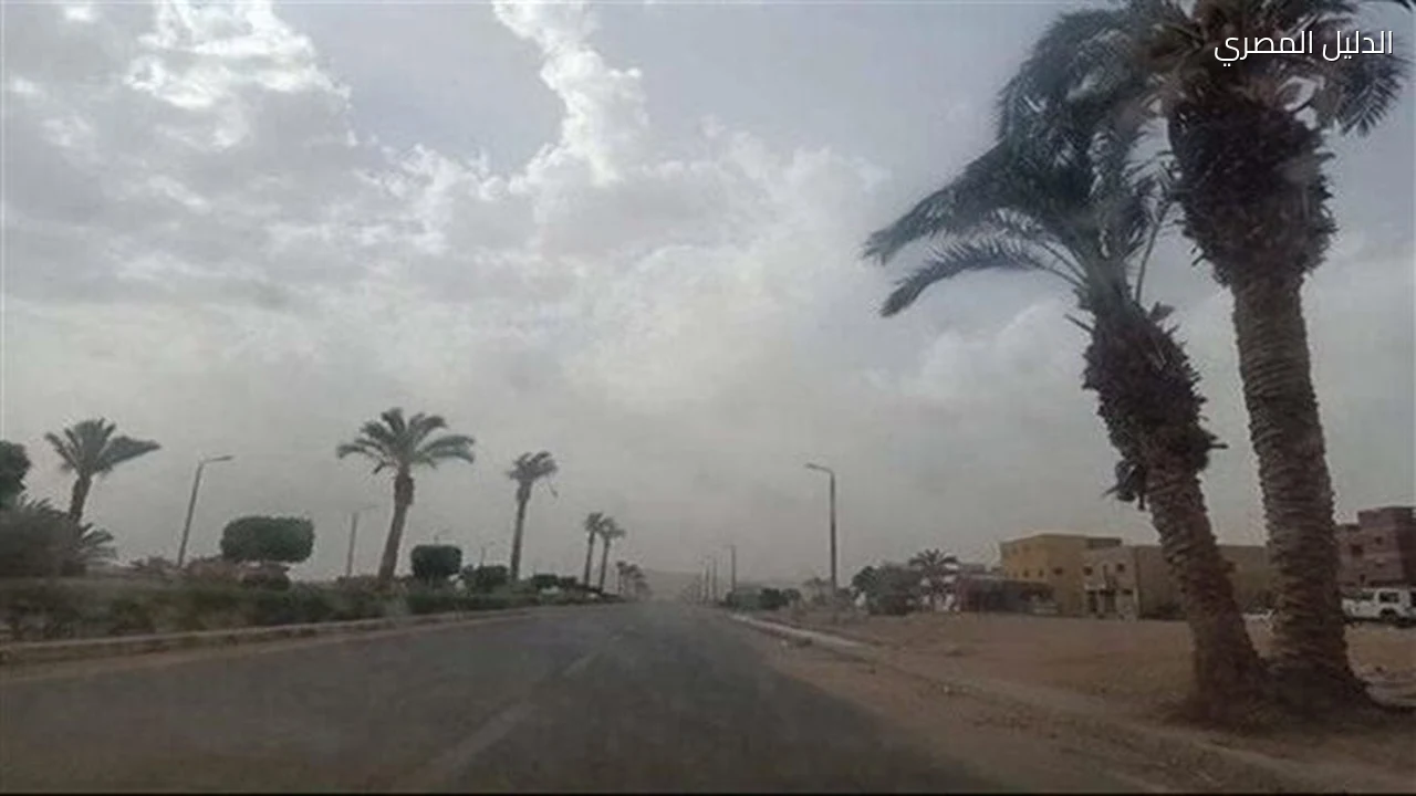 الطقس من الإثنين للجمعة الأرصاد تحذر من شبورة وأمطار