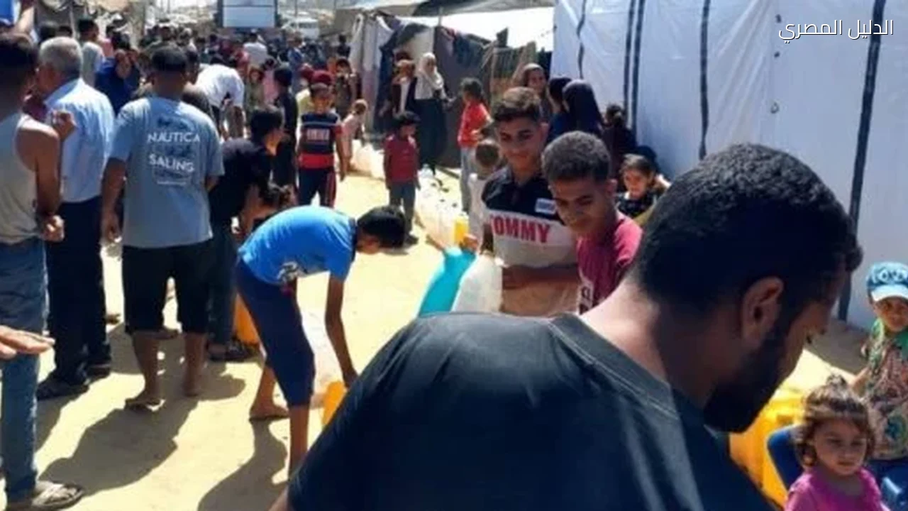 اللجنة المصرية فى غزة: أعدنا 36 ألف طالب إلى الدراسة