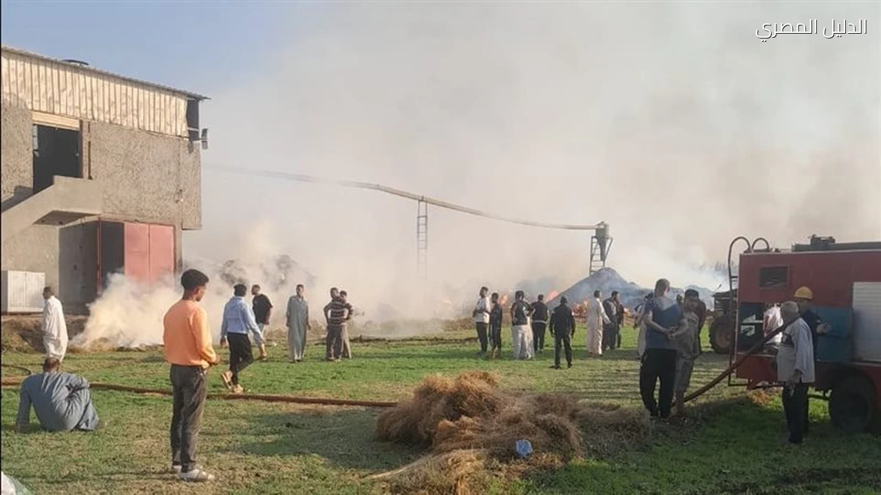 حريق هائل يلتهم مصنع كتان في ميت حبيب بالغربية