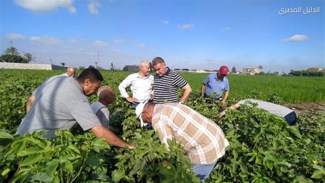 المكافحة الحيوية تخفض تكلفة مكافحة الآفات في مصر