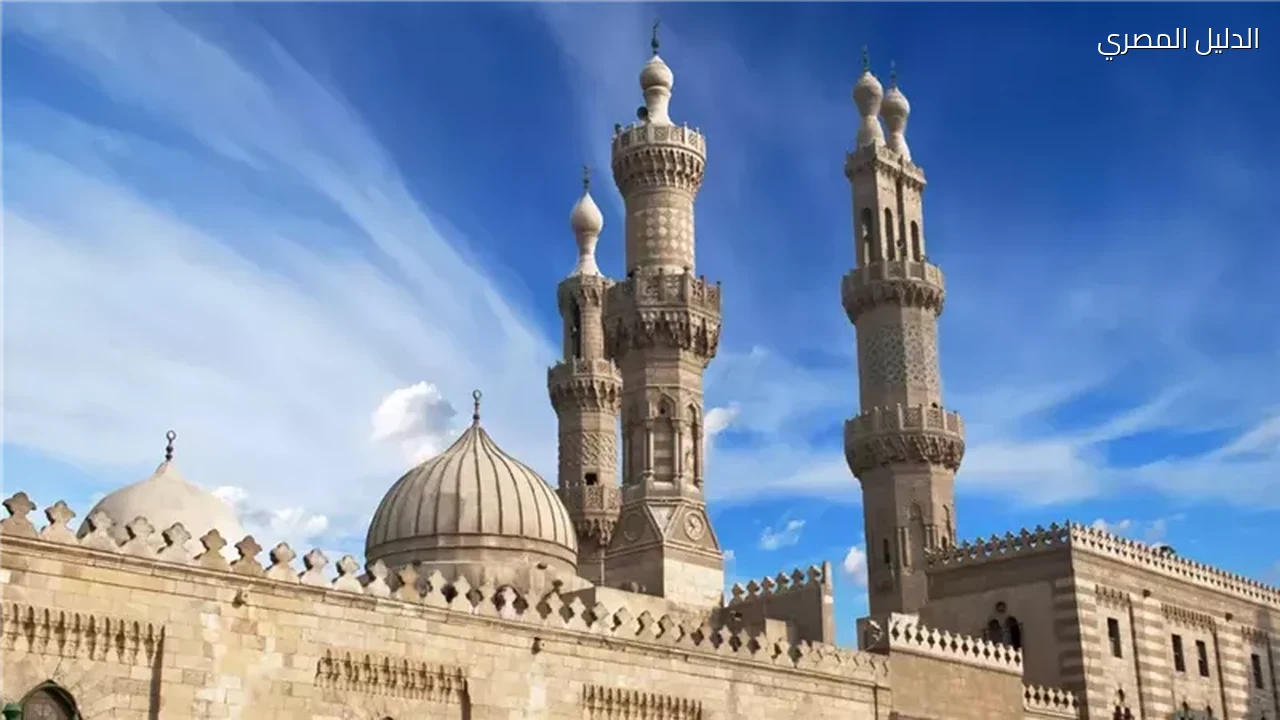 الملتقى الفقهي بالأزهر يناقش أنصبة الميراث اليوم