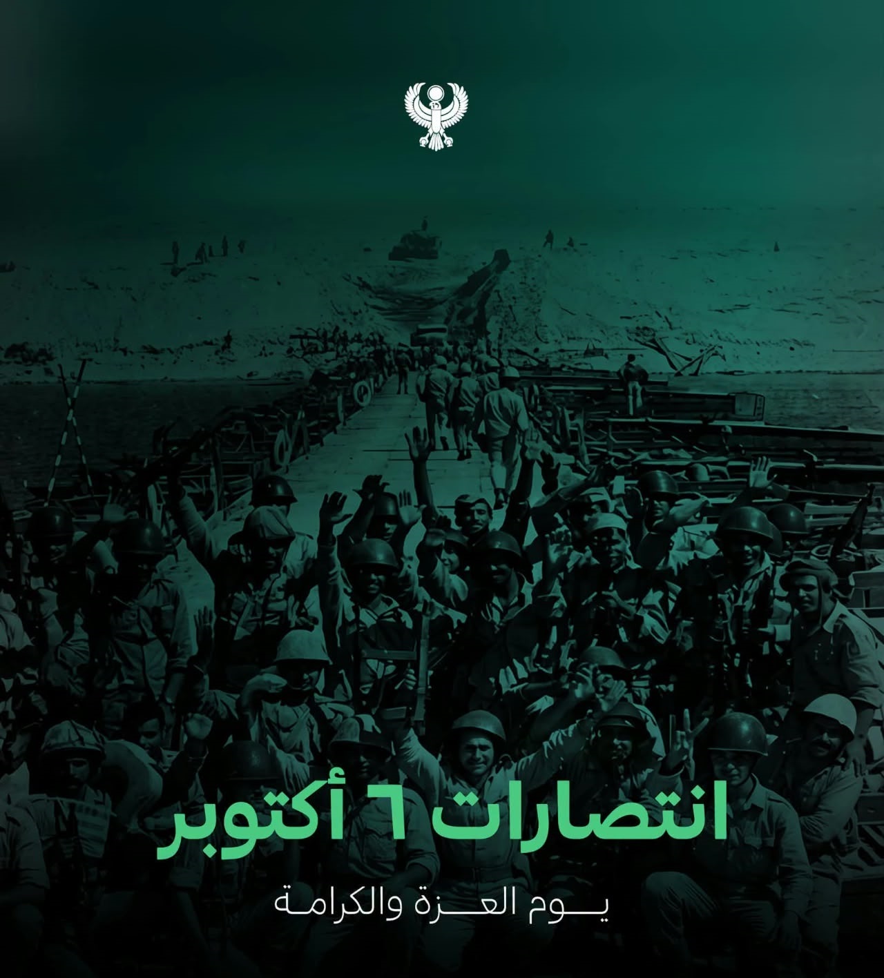 المصري المصري