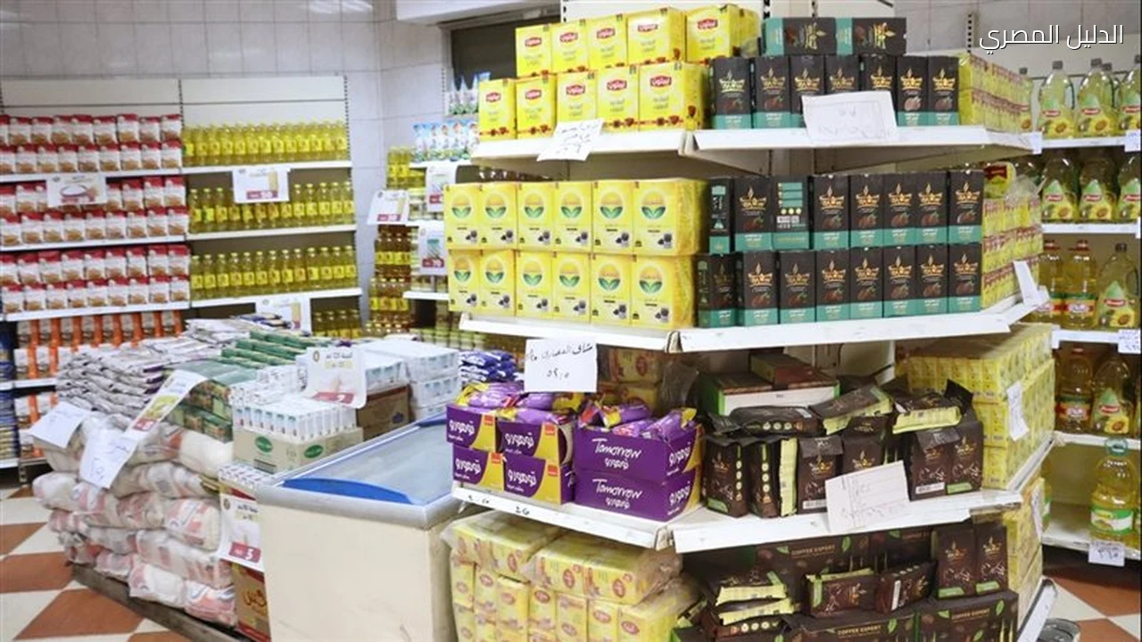 القليوبية توسع منافذ بيع السلع بخصومات تصل إلى 30%