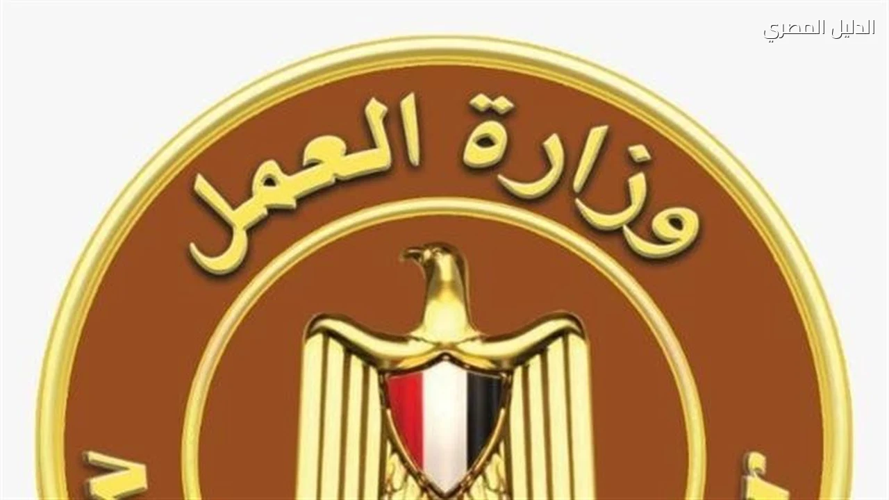 وظائف وزارة العمل 2539 فرصة برواتب تصل إلى 20 ألف جنيه