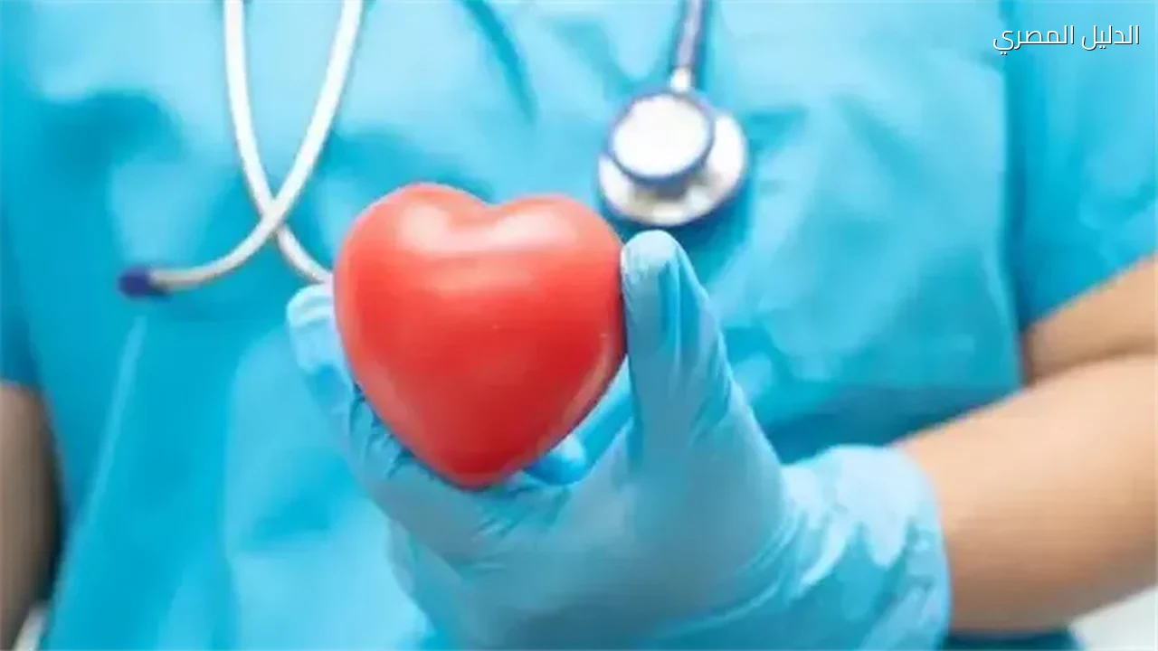 مفتاح جديد لحماية القلب من التليف بعد النوبات القلبية
