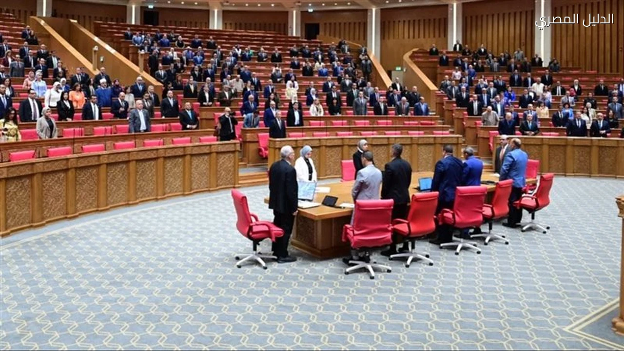 أخبار مصر إجراءات تصعيد ديانا أبو سحلي لمقعد والدتها