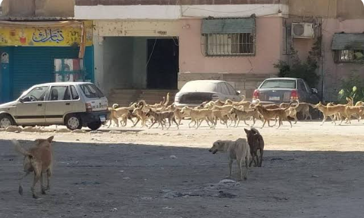 انتشار <a href=
