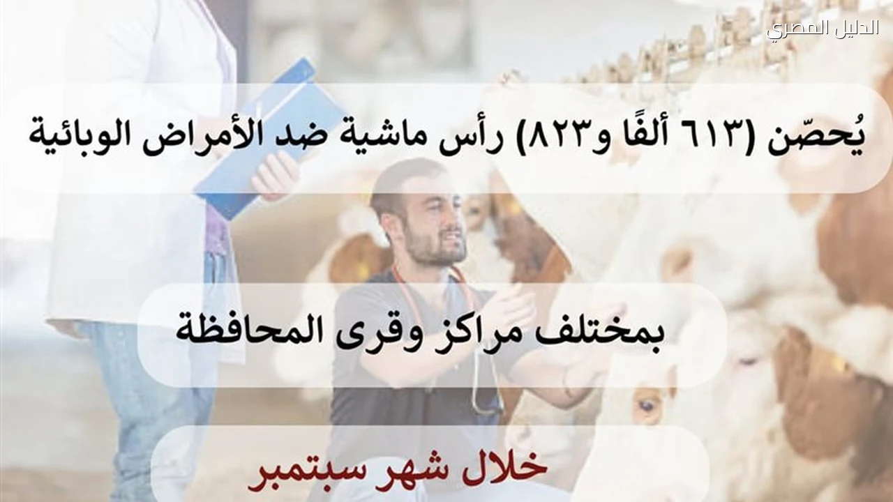 بيطري الشرقية يحصن أكثر من 613 ألف ماشية ضد الأمراض الوبائية