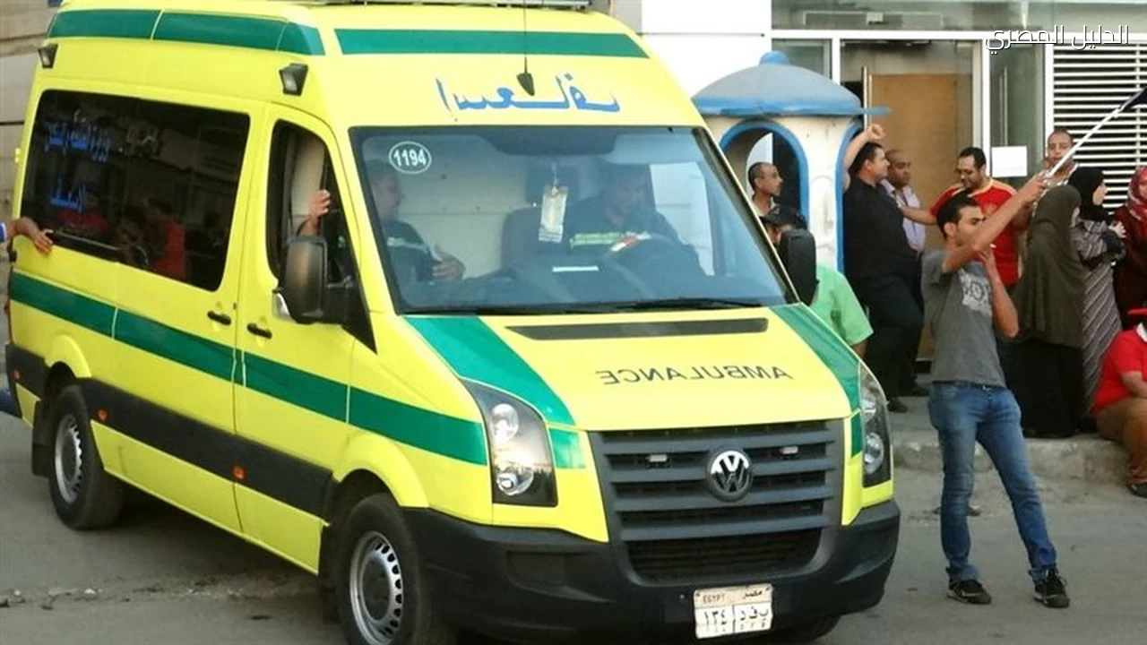 حوادث وقضايا مصرع طفل دهساً أمام منزله بكفر الزيات