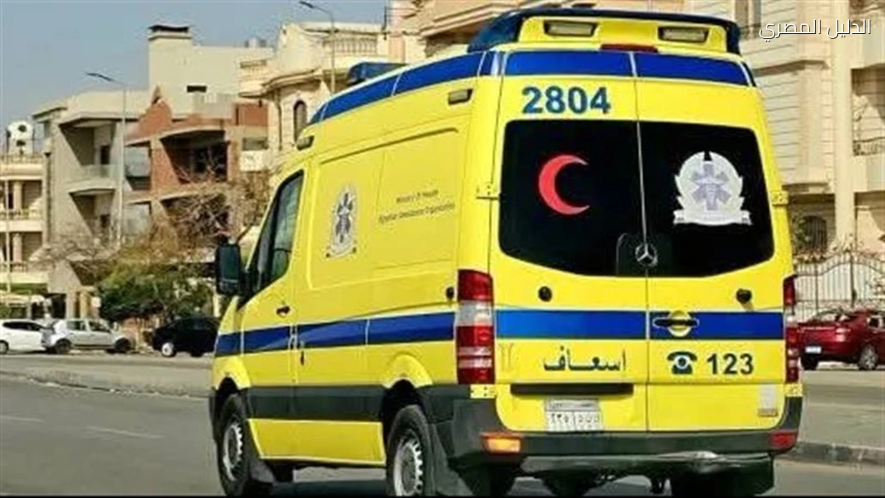إصابة 5 بينهم 3 ألمان في انقلاب سيارة بالفيوم