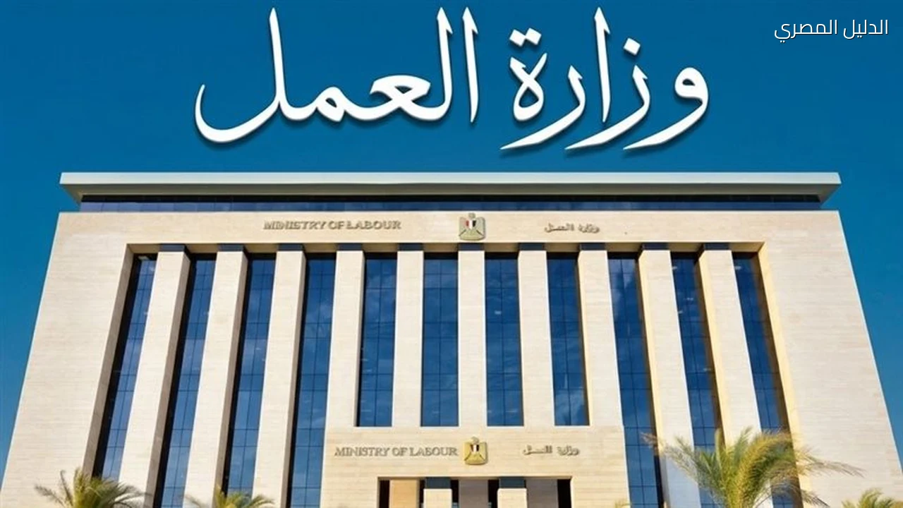 دعوى إلغاء حظر عمل السيدات بالخارج في الكافيهات تؤجل لـ 7 نوفمبر