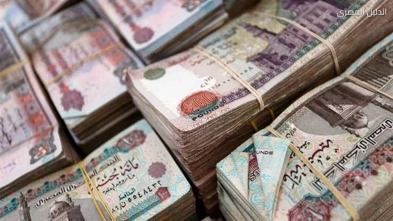 سرقة ربع مليون جنيه بالإكراه في المنيا وتأييد سجن المتهمين