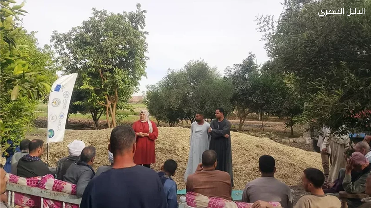 تدوير المخلفات الزراعية يخلق فرص عمل جديدة بالصعيد