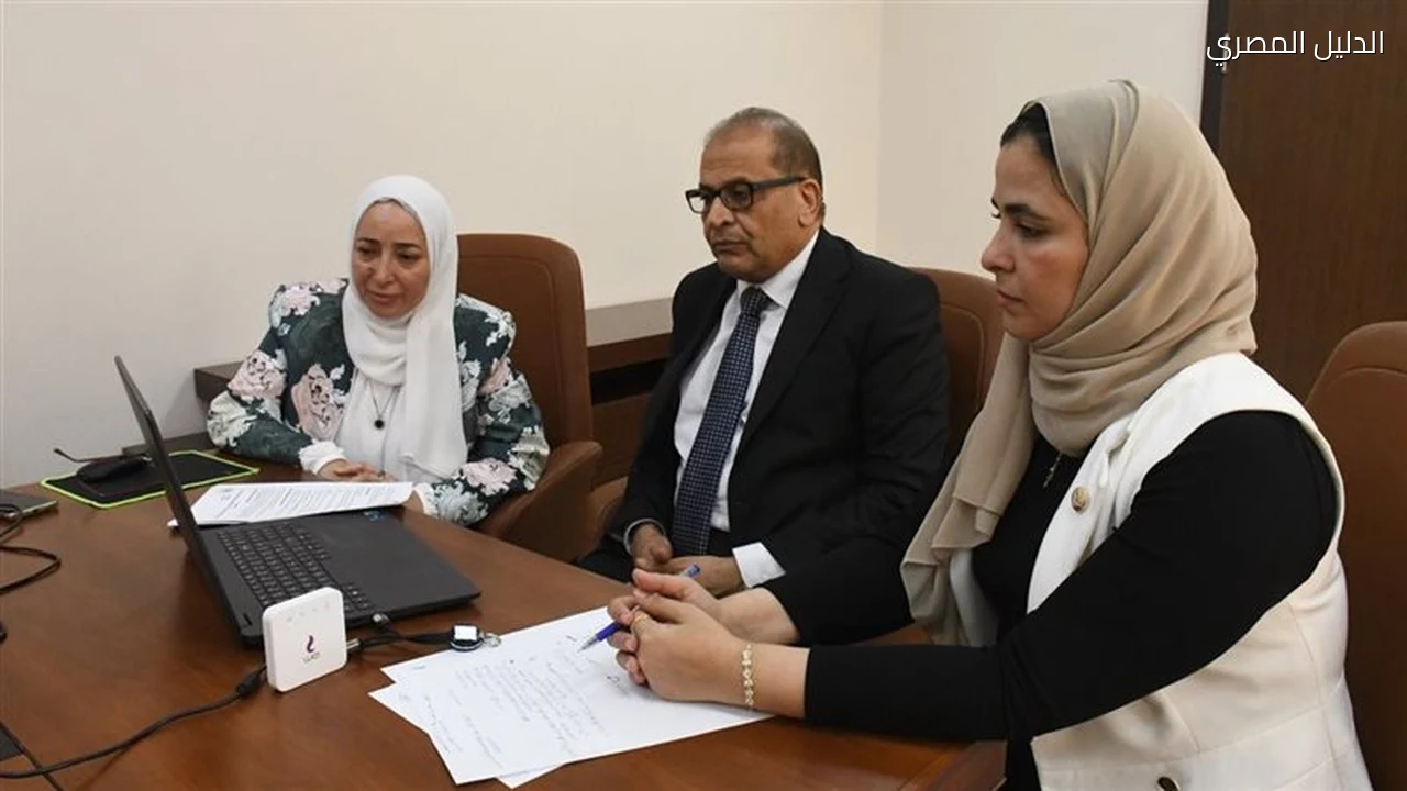 جامعة الإسماعيلية الأهلية تبحث تطوير تعليم الألمانية مع جوته
